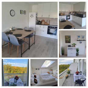 Beautiful Lofoten well equipped nice apartment